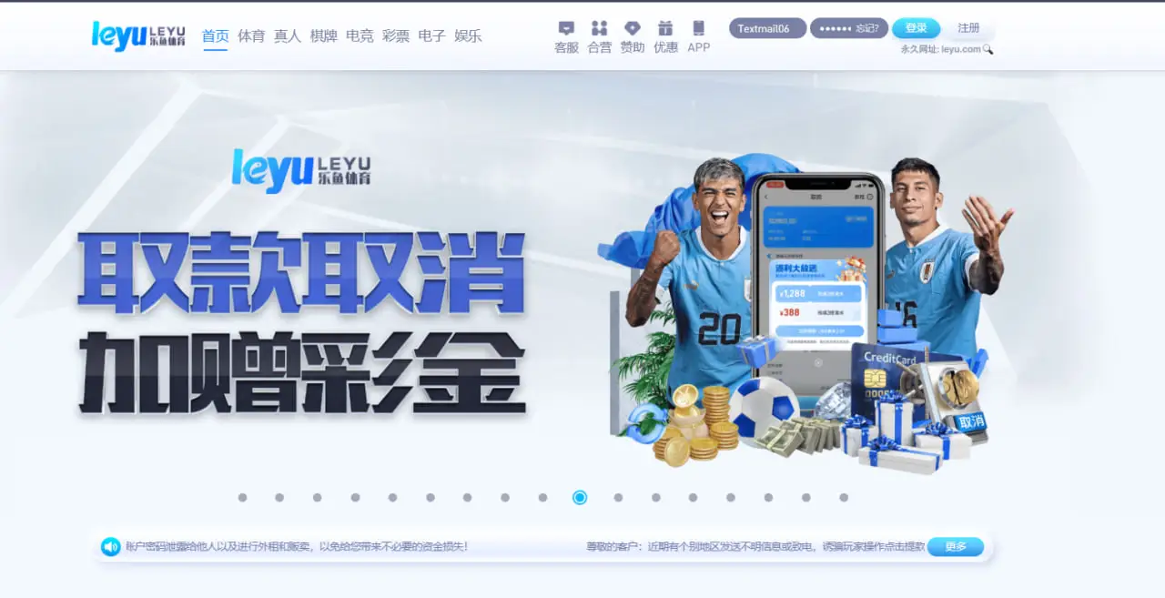 提升乐鱼体育登录效率与账号安全的方法