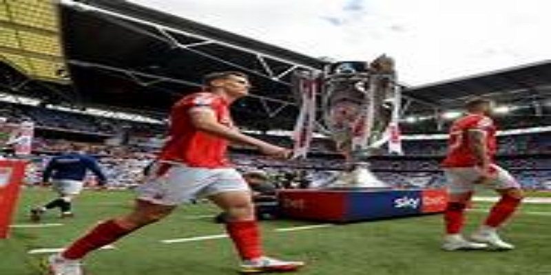 乐鱼体育体验升级：科技助力全新观赛方式-乐鱼体育