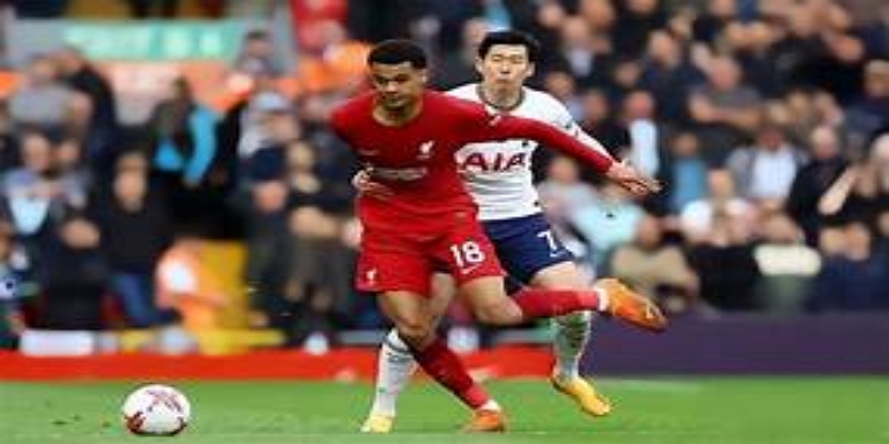 泰勒声音的魅力与职业生涯回顾-乐鱼体育